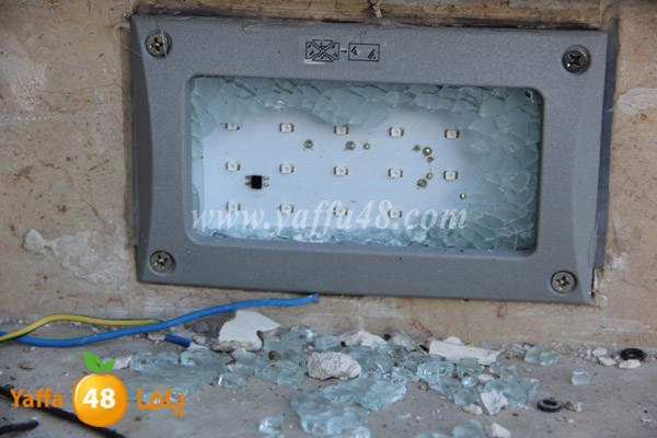 modahama lud 0216 (34).JPG